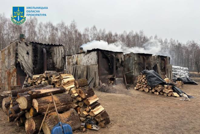 Випалював деревне вугілля та рубав дерева: за шкоду довкіллю судили мешканця Полонного