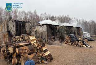 Випалював деревне вугілля та рубав дерева: за шкоду довкіллю судили мешканця Полонного