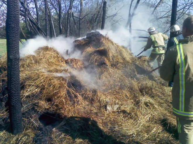 Вогнеборці ліквідували пожежу, що знищила дві тонни сіна