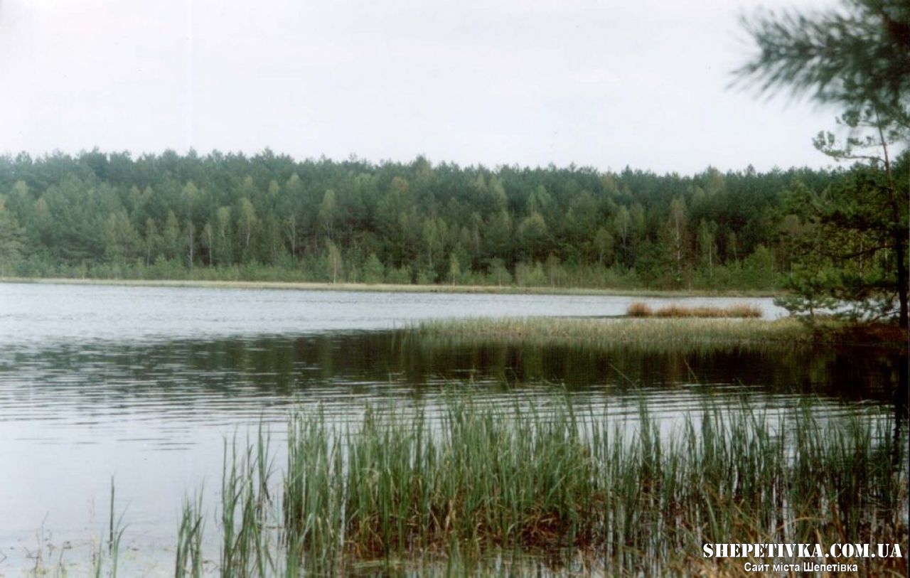 На Шепетівщині у «Княжого озера» хотіли забрати понад 15 га площі вартістю 200 млн грн