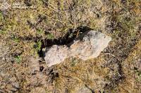 На Шепетівщині виявили вибухонебезпечний предмет: довелось викликати саперів