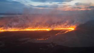 Рятувальники показали масштабні наслідки підпалу сухої трави на Шепетівщини