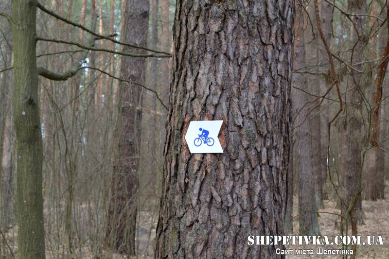 У лісах Шепетівщини розроблено та промарковано новий веломаршрут