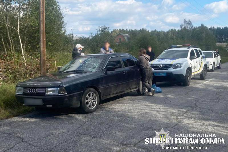 У Понінці водій викликав у шерифа підозру та заслужив кримінальне провадження