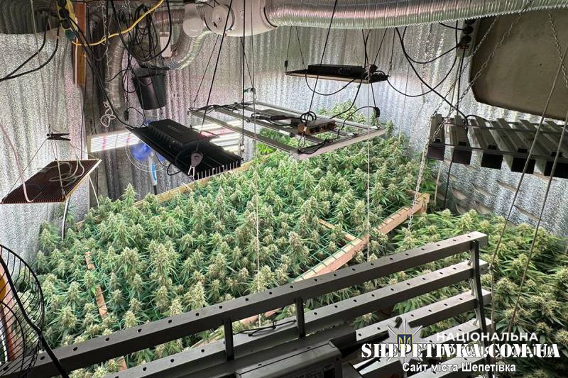 Справу міжрегіонального наркоугруповання з центром у Полонному скеровано до суду