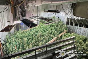 Справу міжрегіонального наркоугруповання з центром у Полонному скеровано до суду