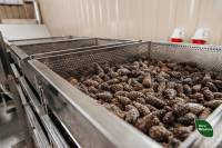 У Шепетівському надлісництві заготовили 4700 тонн шишок