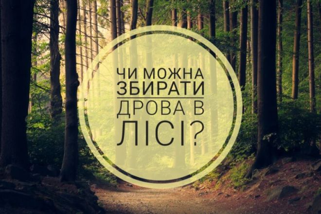 Чи можна самостійно збирати дрова в лісі?