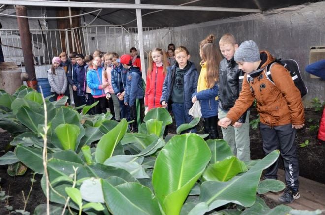 П’ятикласники школи-гімназії відвідали Кам’янківське лісництво