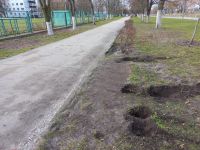 Вкрали дорожній знак, сміттєві урни та намагались вкрасти лавочки