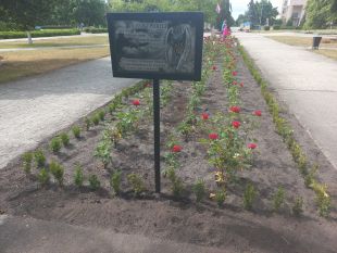 У Нетішині невідомі вчинили таке, що їм "немає виправдання"