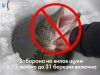 З 15 лютого буде заборонено вилов щуки