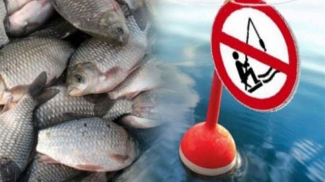 З 1 квітня стартує нерестова заборона на вилов водних біоресурсів