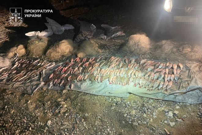 Пів кілометра сіток і мільйонні збитки: як на Дністрі ловили браконьєра