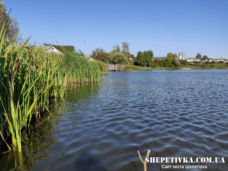 У Шепетівці рекомендують не купатись на "Парушці": яка причина