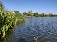 У Шепетівці рекомендують не купатись на "Парушці": яка причина