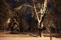 1 січня у рівненському парку виявили тіло чоловіка: ним виявився шепетівчанин