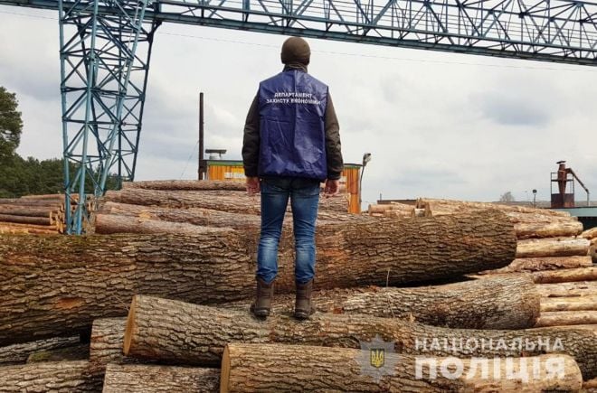 Посадовців Шепетівського військового лісгоспу підозрюють у розкраданні майна