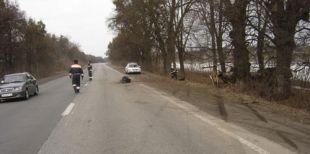 Автомобіль з’їхав з дороги у кювет