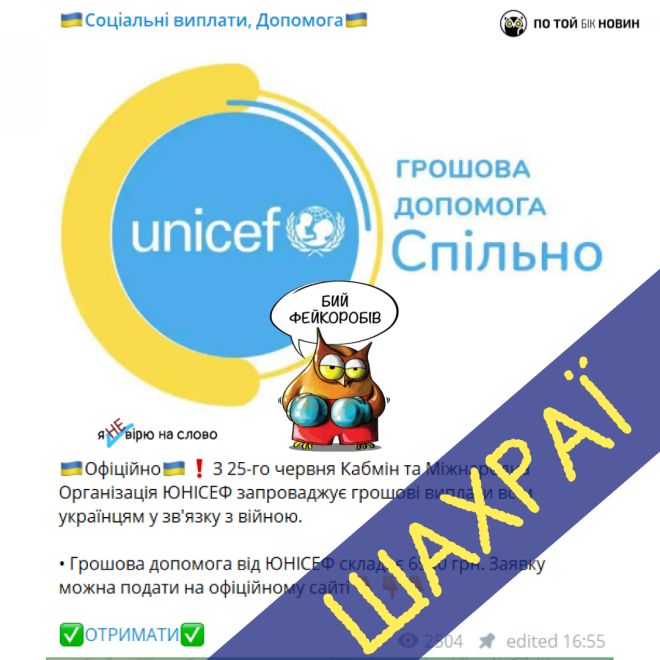Шахраї представляються Unicef: мешканка Шепетівщини втратила усі заощадження