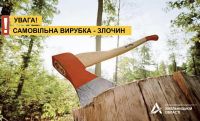 САД нагадало про відповідальність за вирубку дерев дерев у придорожній смузі