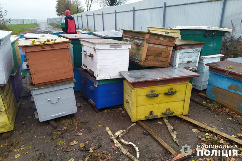Бджоляр з Шепетівщини допомогав сину викрадати вулики