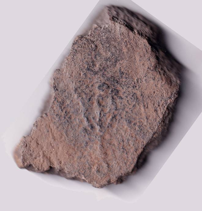 Тризуб Княжої доби: сенсаційна знахідка на Поділлі