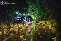 На Хмельниччині вирувала негода: понад 150 населених пунктів без електрики