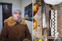 Суд виніс вирок жінці, яка вдарила свого співмешканця ножем у груди