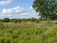 Полонською міською радою було привласнено державної землі на 11 млн грн