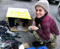 Війна росії проти України. Ситуація станом на ранок 29 березня 2022 року