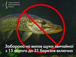 За тиждень на Хмельниччині буде заборонено вилов щуки звичайної
