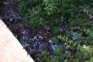 Під "Судилківським мостом" чистота не протрималась і пів року