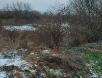 У Шепетівці продають земельну ділянку, де мали створити агропромисловий парк