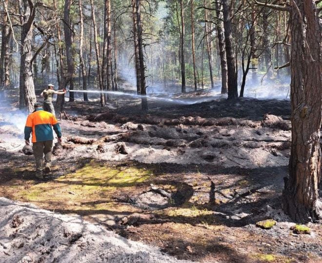 На Шепетівщині горіло 1,2 гектари лісової підстилки