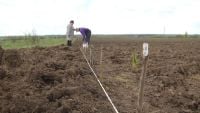 На Шепетівщині розпочали висадку &quot;енергетичних&quot; дерев