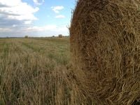 На Шепетівщині примусили орендаря землі заплатити у восьмеро більше