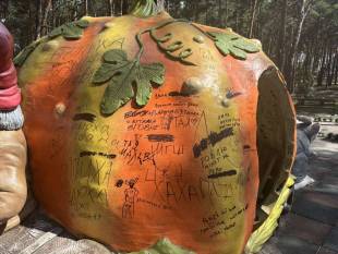 Нетішинський «Диво-парк» знову став жертвою вандалів