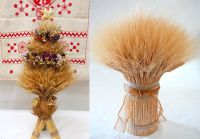 Юні шепетівчани найкраще в Україні плетуть дідухів