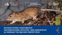 Фіксується збільшення випадків інфікування хантавірусами: чим небезпечні ці інфекції