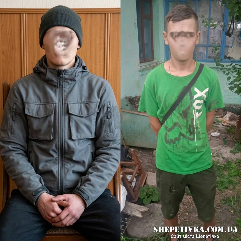 Скористалися безпорадним станом: на Хмельниччині розслідують групове зґвалтування 24-річної дівчини