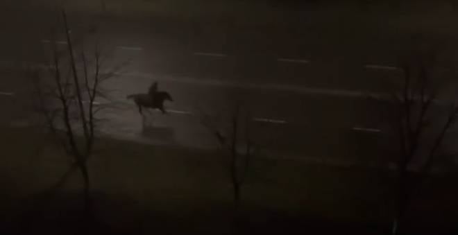 У Нетішині відбулася "епічна погоня" за вершником на коні (відео)