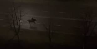 У Нетішині відбулася "епічна погоня" за вершником на коні (відео)