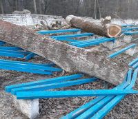 У Шепетівці так зрізали аварійні дерева стадіону, що потрощили лавки