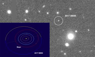 Команда Street Astronomy відкрила два астероїди