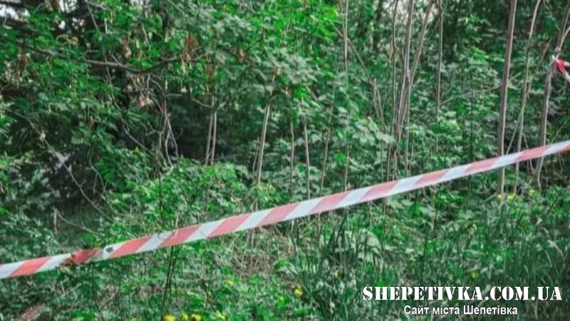 У лісосмузі Нетішина виявили тіло 52-річного військовослужбовця зі Львова