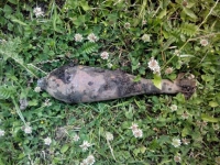 Знайшли "ягідку"