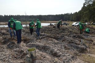 Районні депутати садили ліс своїми руками