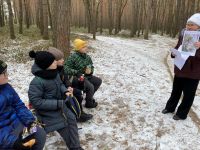 Юні краєзнавці шукали в лісі зимові гриби та вчились читати сліди