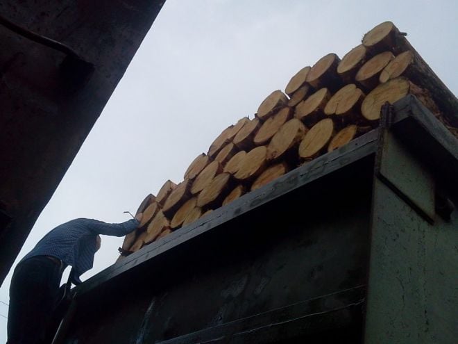 Закарпатська митниця блокуватиме експорт для ДП «Шепетівський лісгосп»